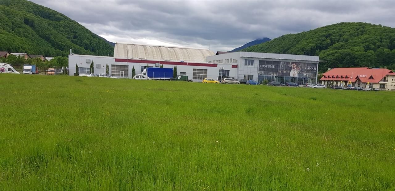 In evantaiul padurii, 750mp teren - Poză 12