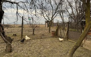 Casă 2 corpuri | Anexe si teren I Racovița | Sibiu - Poză 6