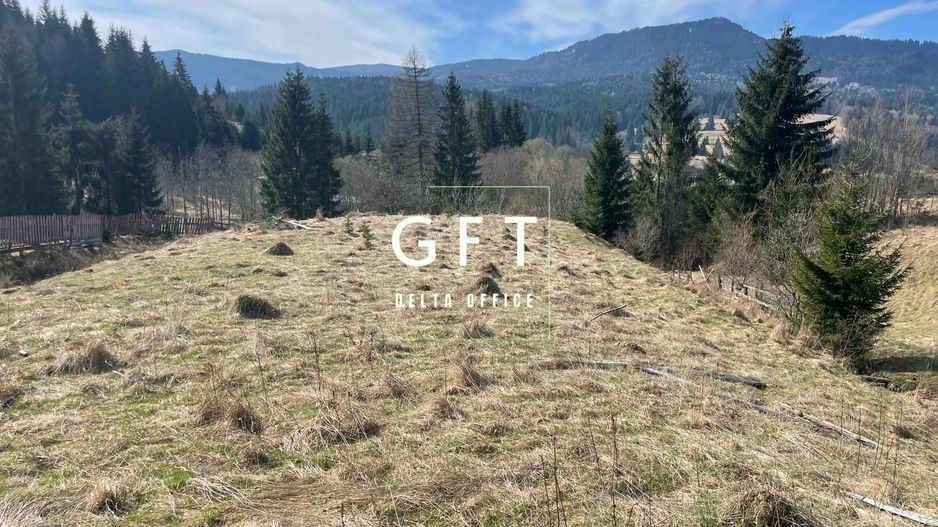 Teren intravilan parcelabil- 17703 mp,Colibita - Poză 6