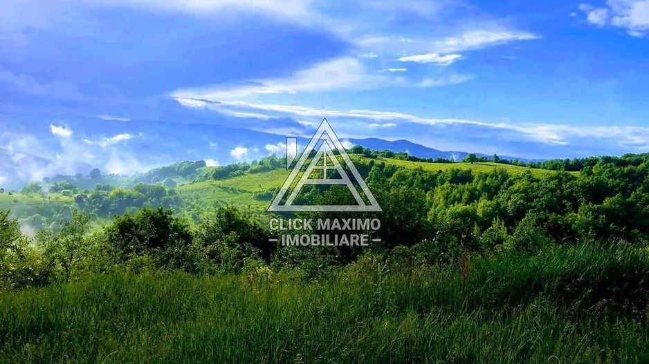 CASĂ și TEREN 85.000 mp – Casa părintească Părintele Arsenie Boca - Poză 10