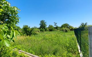 Lot pentru două case – Corbeanca Tamași - Poză 16