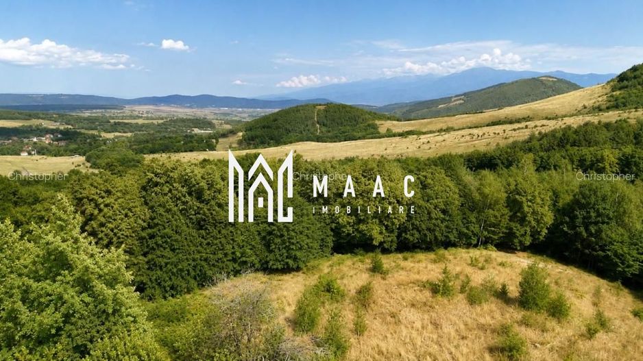 Teren intravilan 2.938 mp | Tocile, Sadu | pârâu natural - Poză 6