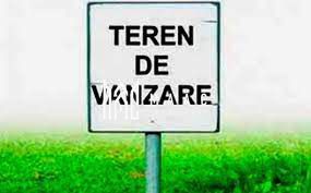 Teren extravilan | 7.800 mp | Saliste - Poză 4