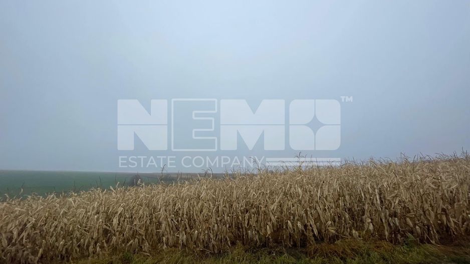 TEREN EXTRAVILAN | DOUA PARCELE 2.84 HA| IDEAL AGRICOL | DARMANESTI - Poză 20