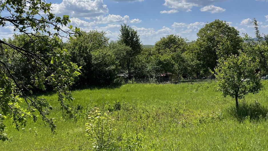 Casa in Comuna Geaca - Poză 21