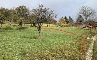 Teren Moieciu de Jos - Poză 3