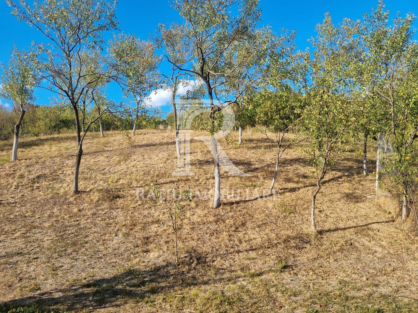 Casă renovata cu teren generos | Anexe | Gurasada | Hunedoara - Poză 46