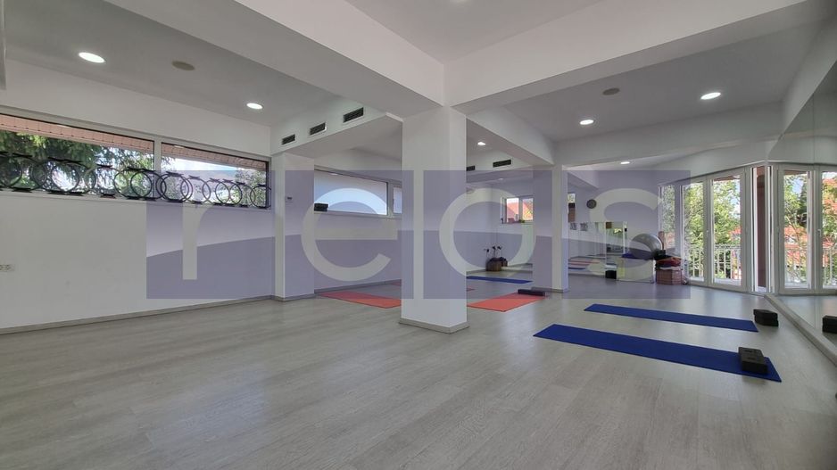 INCHIRIERE SPATIU COMERCIAL-2 VILE | ZONA MOGOSOAIA - Poză 30