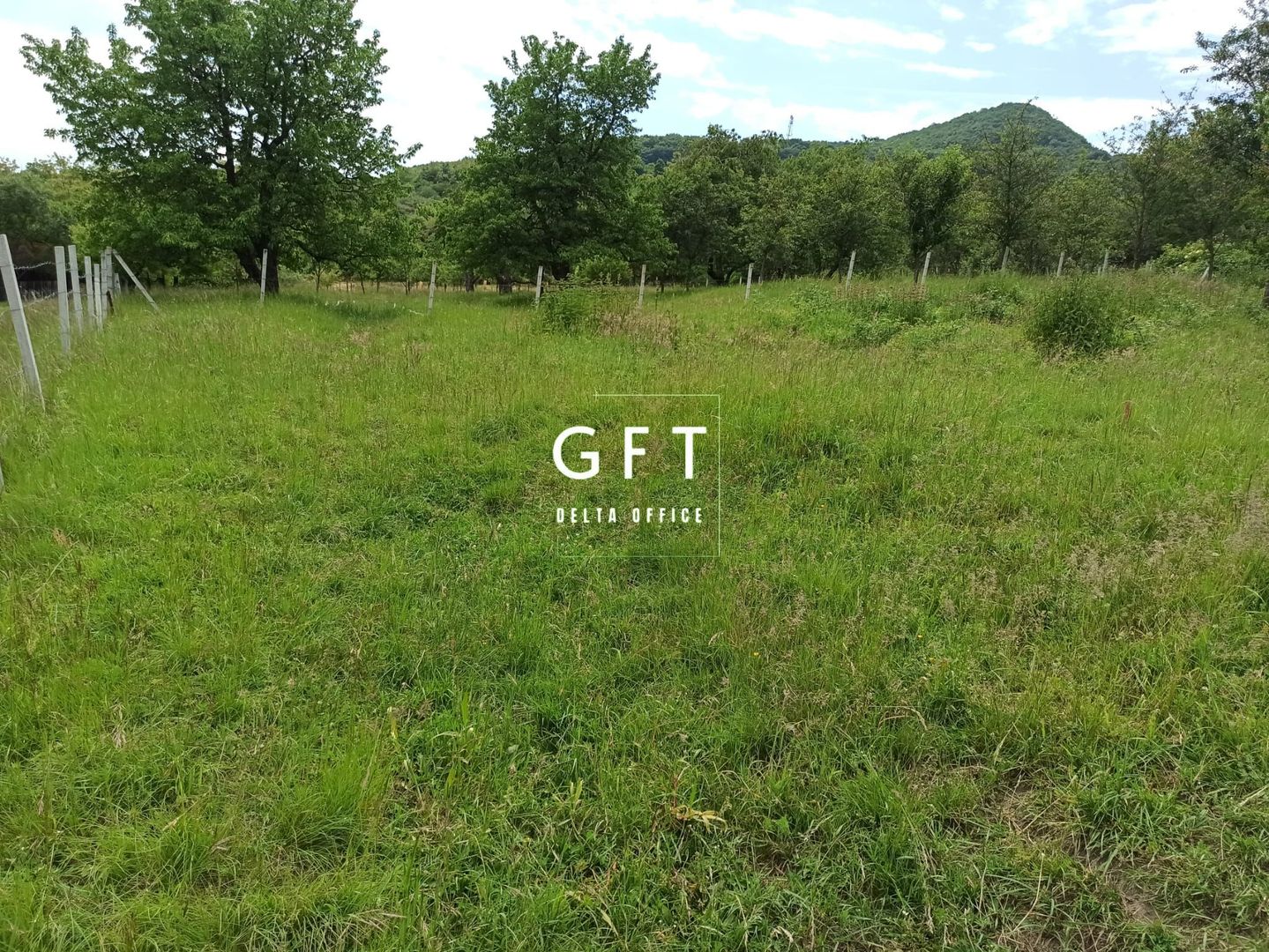 Teren 1000mp+cota drum-ideal cabana/investitie-panorama-Valea Rusului - Poză 1