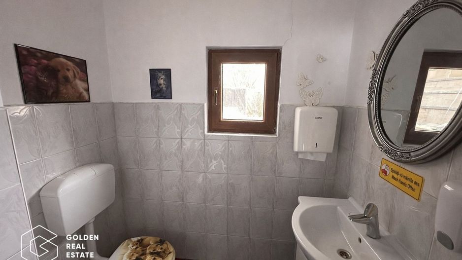 Spatiu comercial, 250 mp, pretabil loc joaca copii, zona Boul Rosu - Poză 12