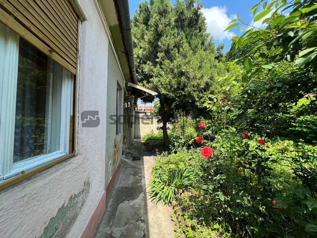 SAPIENT - DE VÂNZARE CASĂ ULTRACENTRAL - STR. CASTANILOR - Poză 2