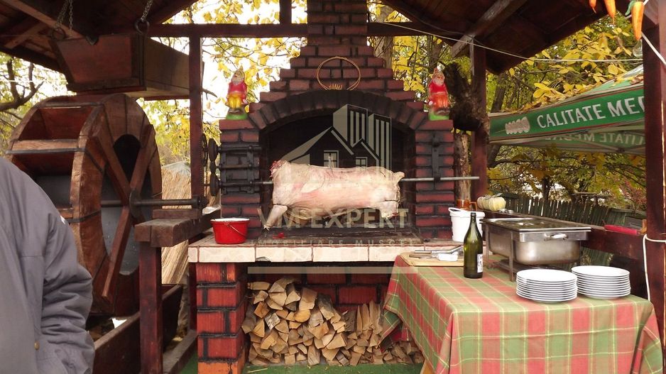 VILA - PENSIUNE CU RESTAURANT + SI TEREN 6406 MP, VALEA MARE PRAVAT, - Poză 19