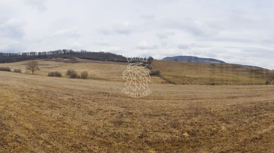 Teren 104,731 mp-Parcelabil-Vedere panoramica-Valea Castailor - Poză 2