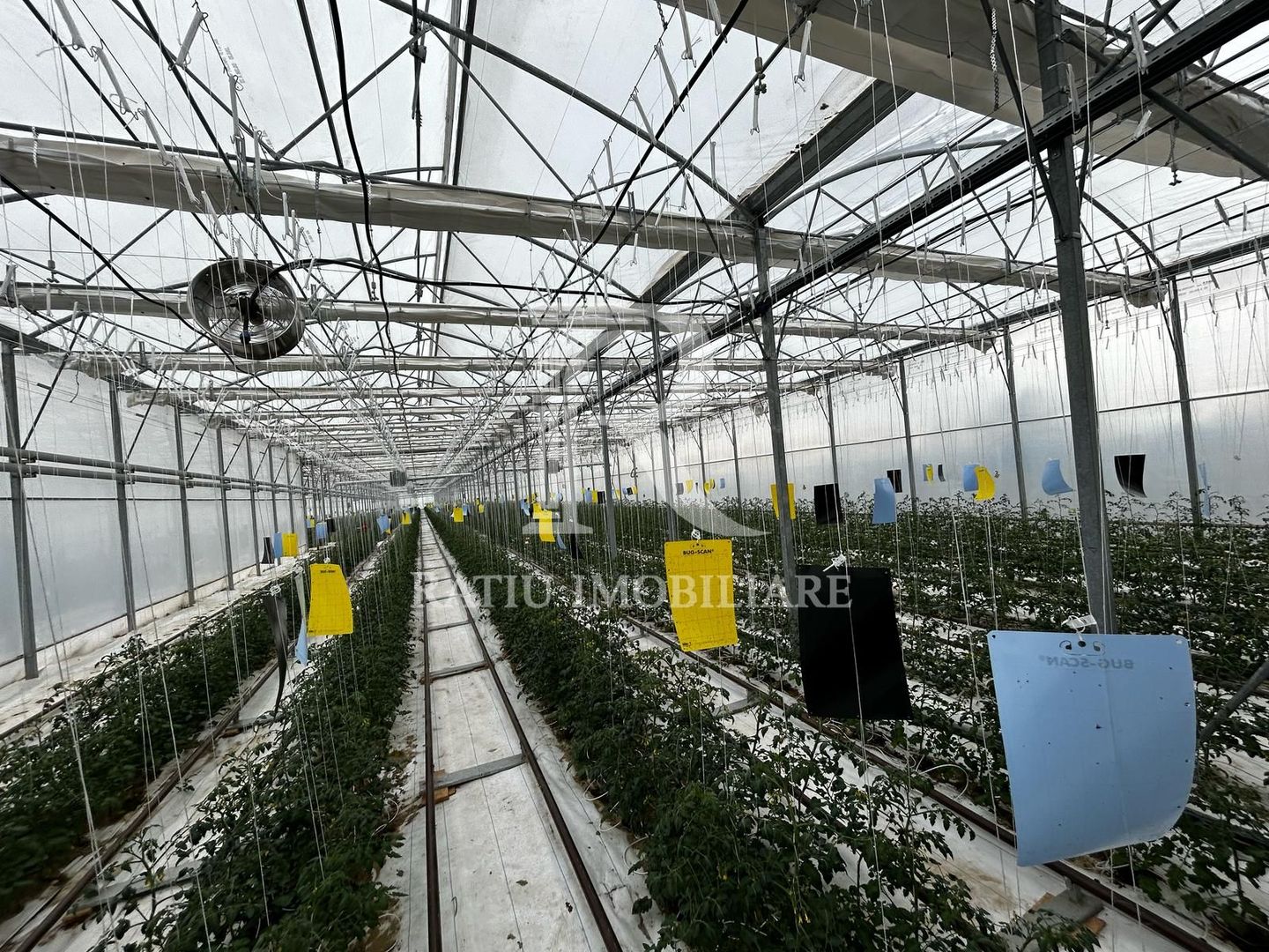 Complex agroindustrial de închiriat | Sere 3.300 mp - Poză 2