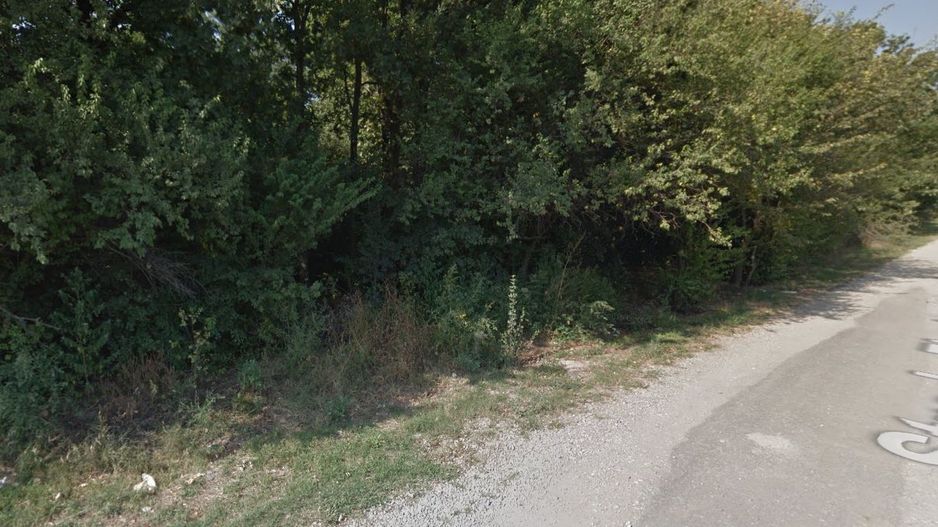 Teren de vânzare la padure Balotesti - Poză 3