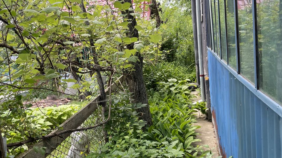 Casa in Comuna Geaca - Poză 18