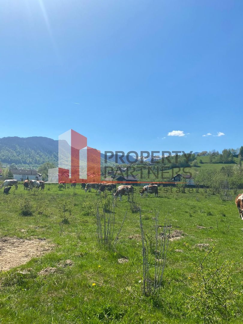 Teren Bran/ Predelut 10.663 mp. - Poză 2