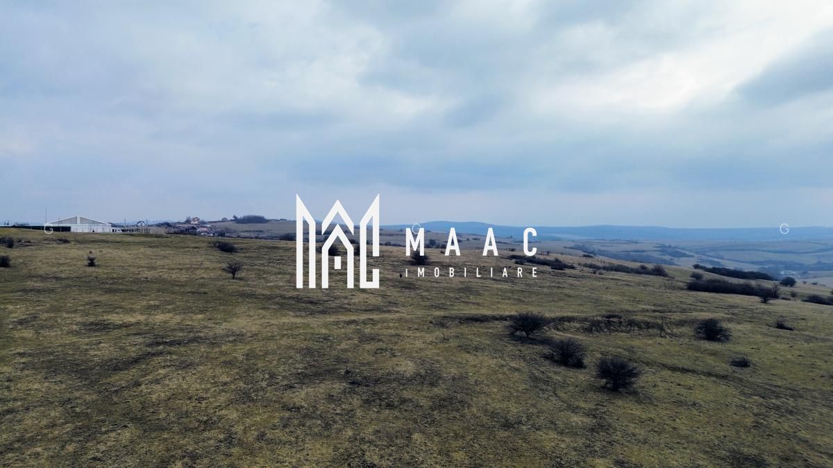 Teren 6,75 ha | Panoramă și Acces Excelent | Dealul Daii - Poză 1