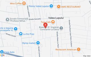 # închiriez apartament cu 1 cameră în Valea Lupului - Poză 10