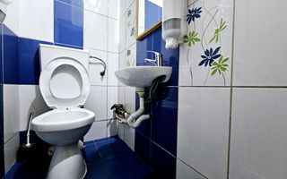 Spatiu comercial de inchiriat, Cetate - Poză 7