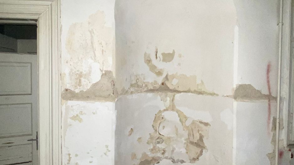 De Vanzare Vila Interbelica, 8-10 Camere, Romana - Zodiac - Poză 21