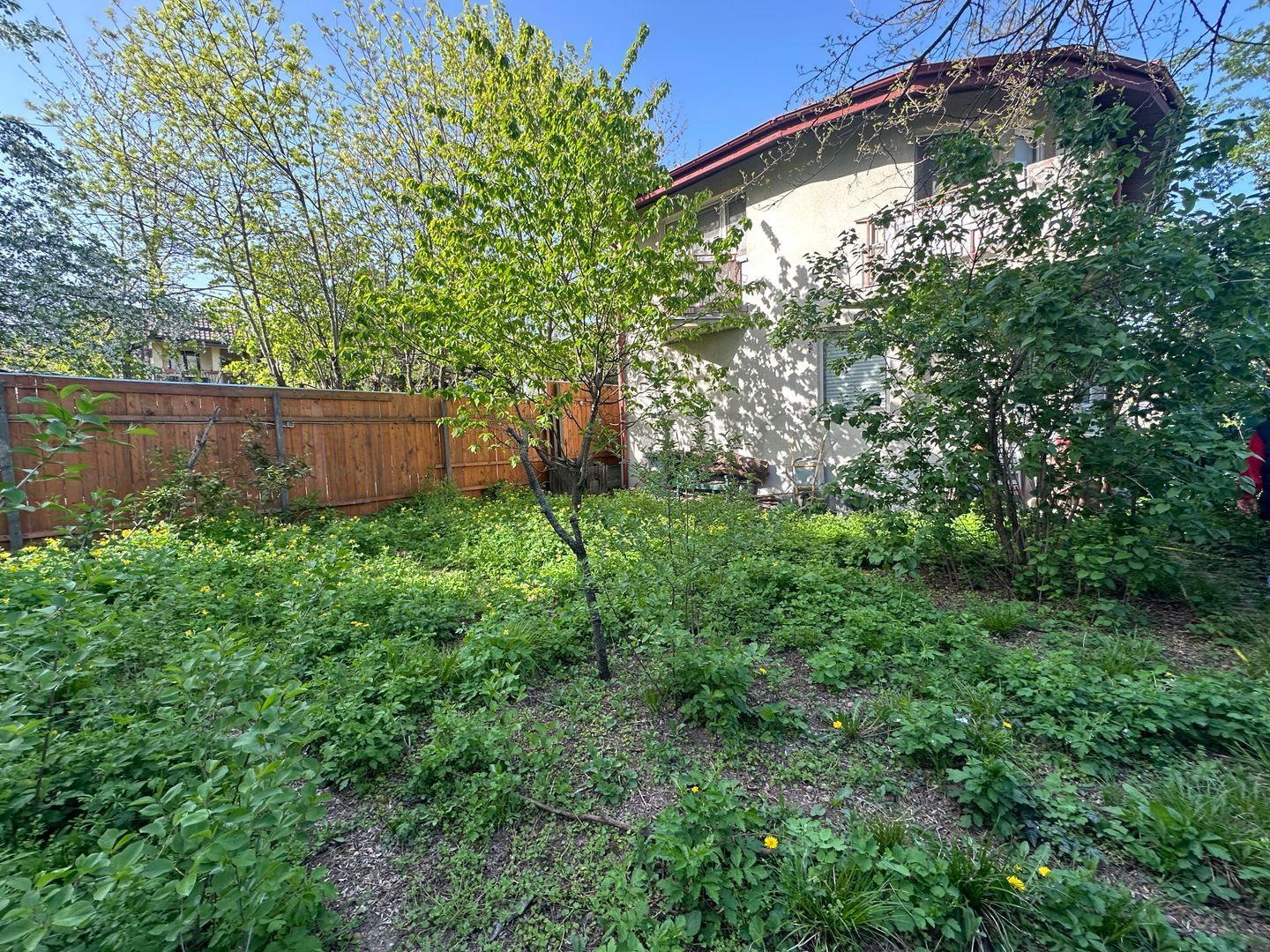 Proprietate Speciala | 2 Vile P+1 | Teren 806 MP - Poză 3