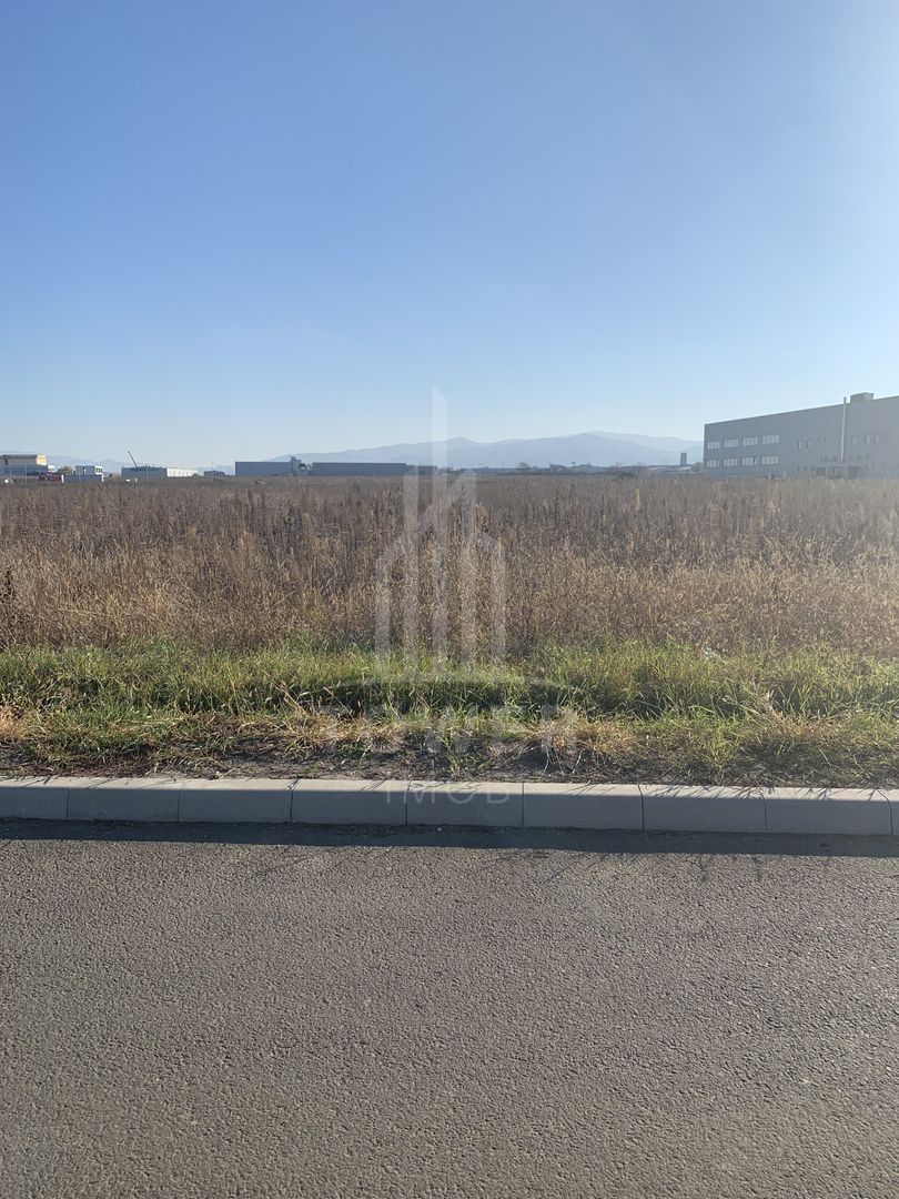 TEREN INTRAVILAN - ZONA INDUSTRIALA VEST-9000 mp, sau 18000 mp - Poză 3