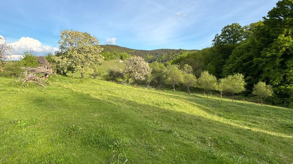 Teren de vânzare în Cugir - Poză 3