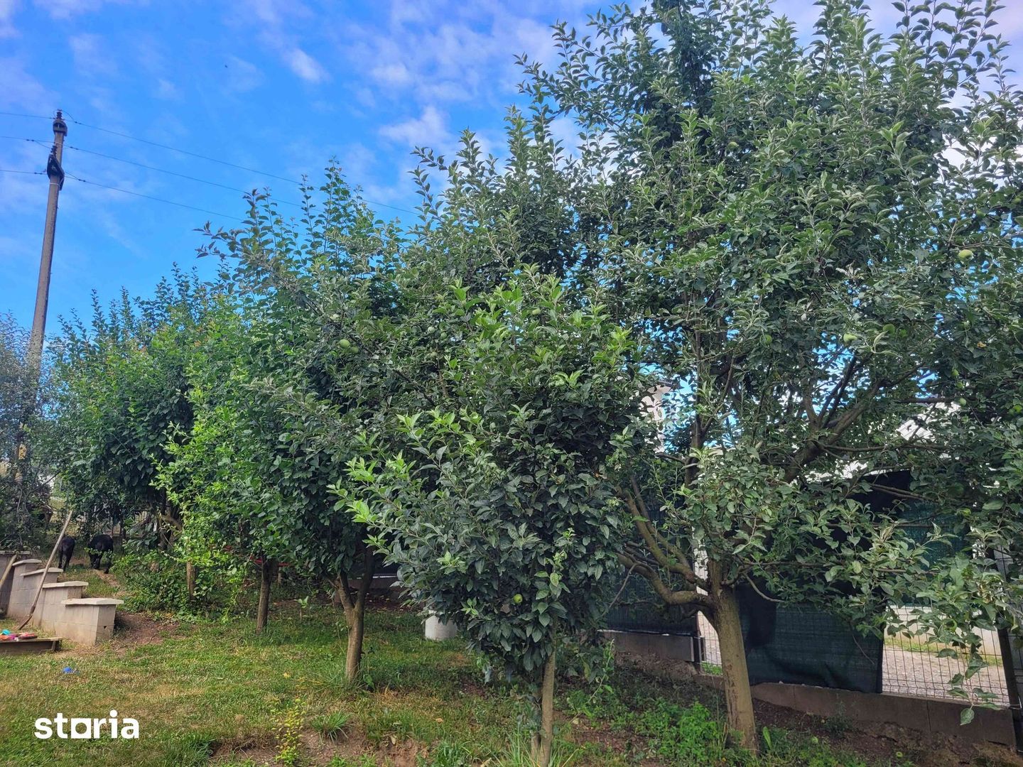 Casă Livezeni 815 mp teren, casa primitoare ,la doar 5 minute de oraș. - Poză 7