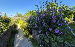 De vanzare complex turistic - Poză 18