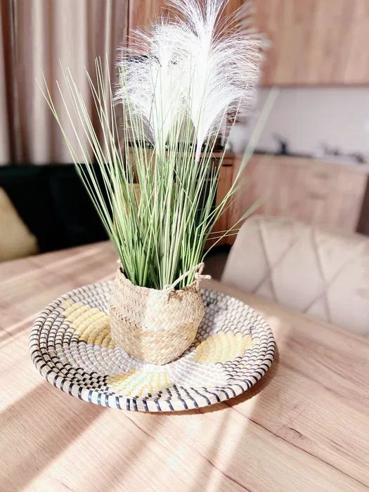 Studio Timpuri Noi - Nerva Traian | Centrala proprie - Poză 4