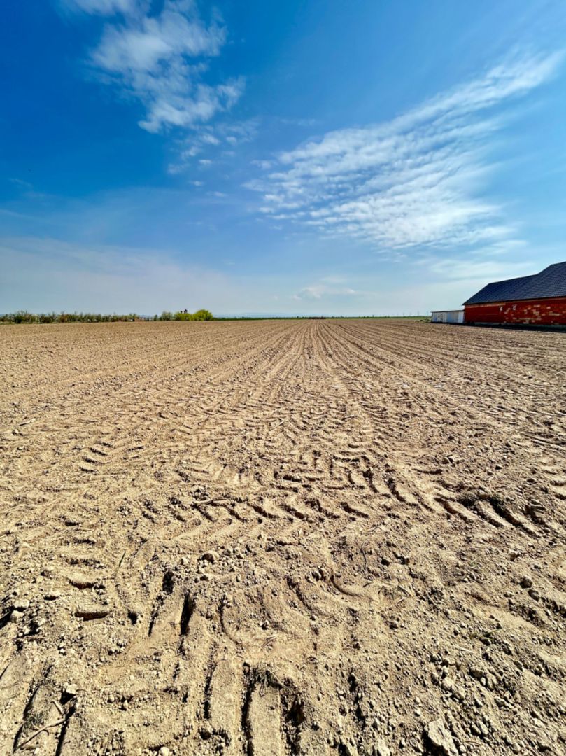 Teren intravilan – Oșorhei | 2878mp - Poză 3