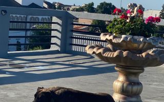 Cladire Comerciala Sector 1 Stradal Sos Chitilei / Commercial Building - Poză 6