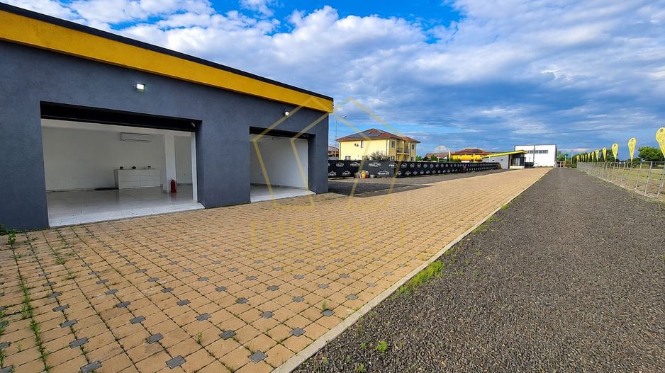COM 0% Pozitie excelenta, spatiu cu teren servicii | Intrare Sacalaz - Poză 18