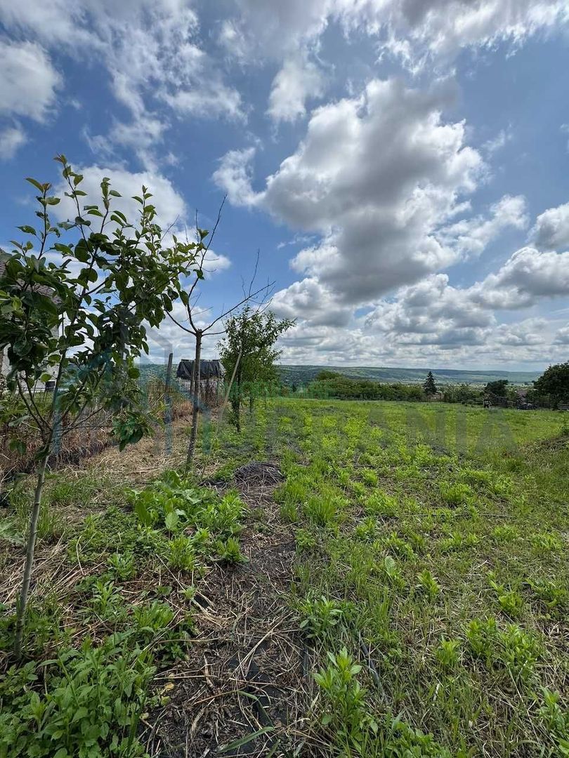 Teren intravilan 1797 mp în Dobrovăț (Ruși), lângă pădure, cu utilități și amenajări existente - Poză 4