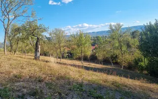 Casă renovata cu teren generos | Anexe | Gurasada | Hunedoara - Poză 41