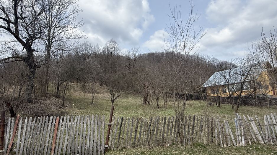 Teren 6040 mp la baza pădurii deschidere 40 ml - Poză 11