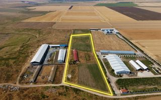 Cogealac - Tariverde – Ferma cu teren intravilan, utilitati racordate! - Poză 3