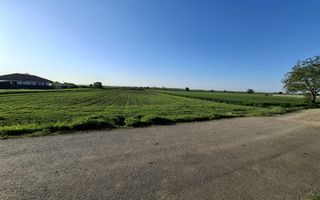 DÂRZA - TEREN INTRAVILAN - Poză 3