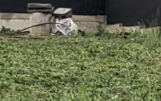 Teren de vânzare în Valea Lupului, Iași – 650 mp, deschidere 25 ml - Poză 2