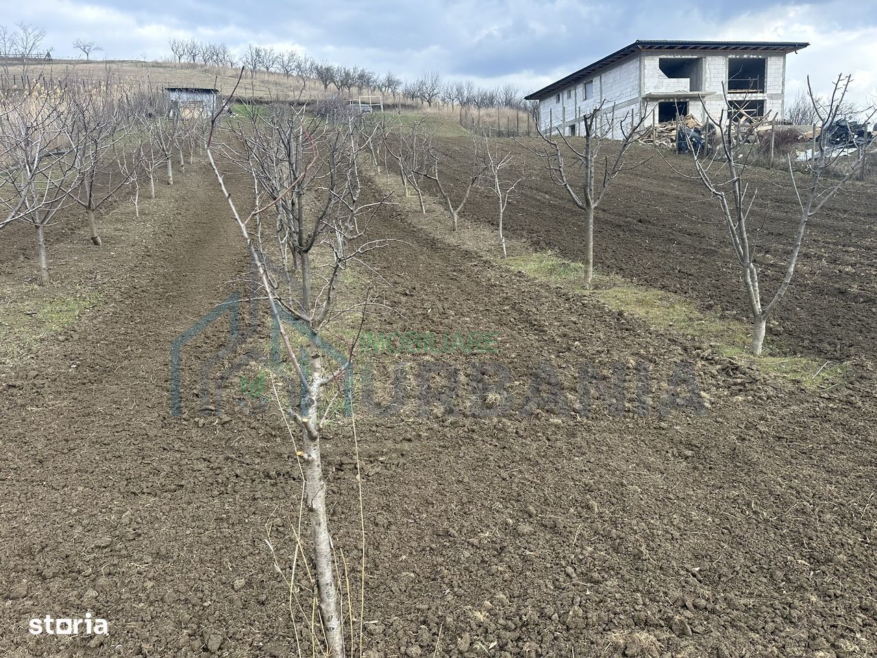 Teren intravilan 1724mp - Poză 1
