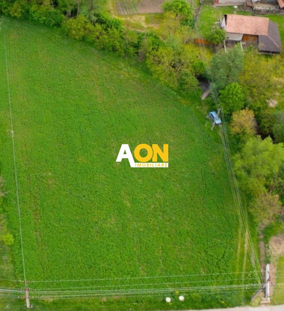 Teren de vanzare, Ampoita, 2300mp - Poză 3