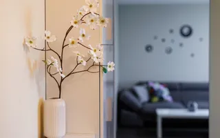 Apartament 2 camere, Piata Balcescu-Timisoara - Poză 18
