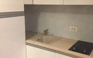 Apartament 2 camere zona Herastrau - Poză 6