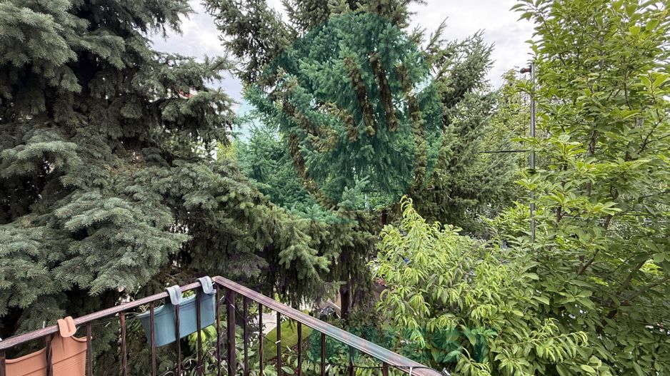 Vilă individuală cu grădină și terasă |Parcul Circului – Maica Domnulu - Poză 8