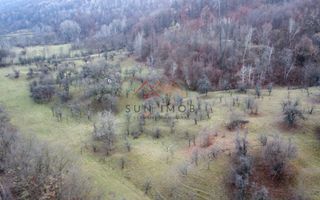 Teren 36000 m2, intravilan+partial extravilan, cadastru, Draganeasa PH - Poză 3