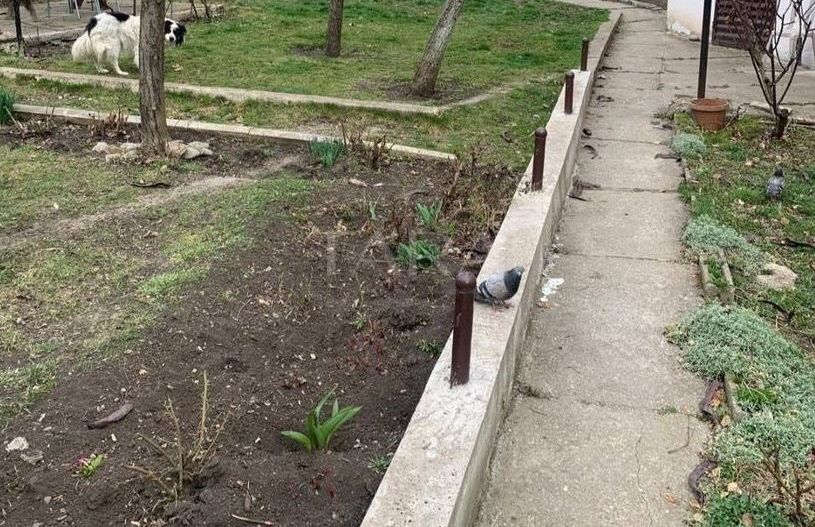 Oportunitate rară! Casă cu teren generos în zona Grand Hotel Italia - Poză 2