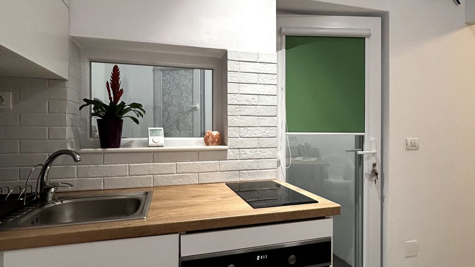 Apartament 1 camera la casa - Poză 3