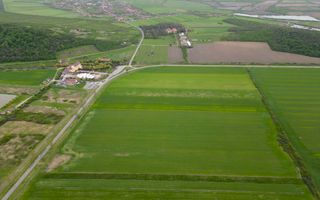 Teren extravilan de 22500mp Zona Ineu - Poză 3