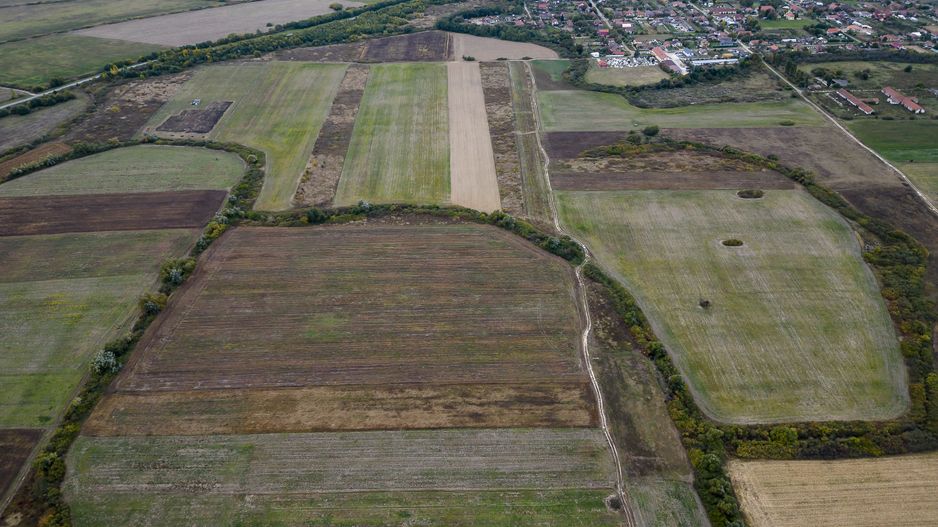 Teren agricol de 34.500mp în Albina, Județul Timiș - Poză 6